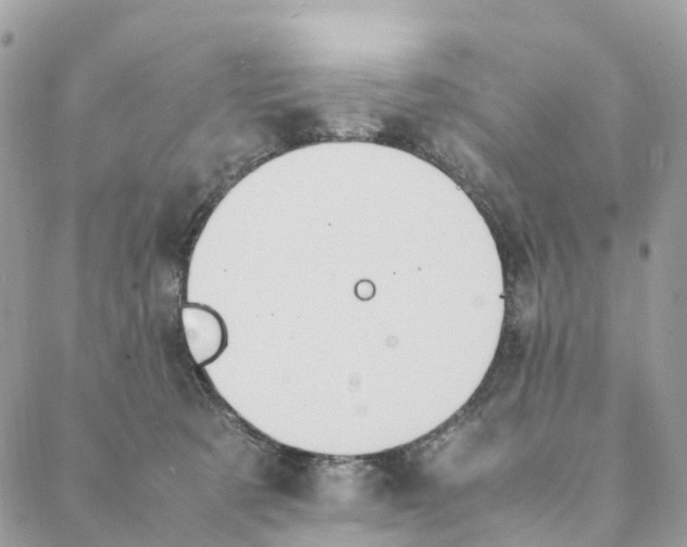 X0000088210321200706121812