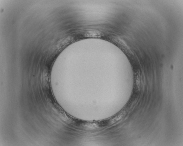 X0000088210322200706121812