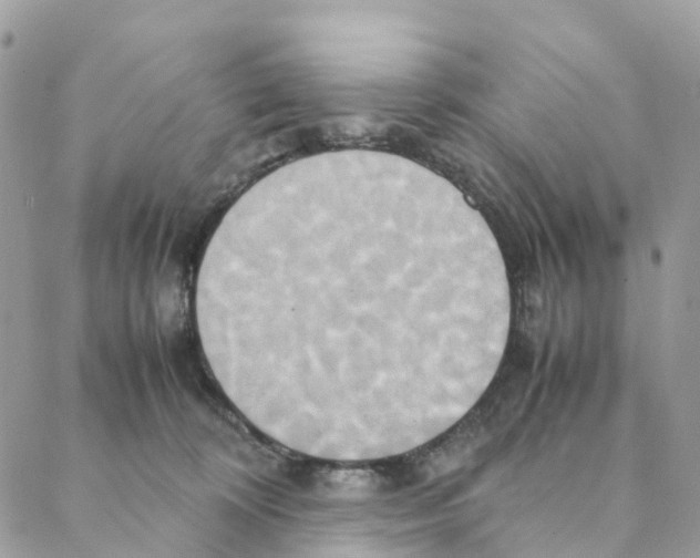 X0000088210324200706121812