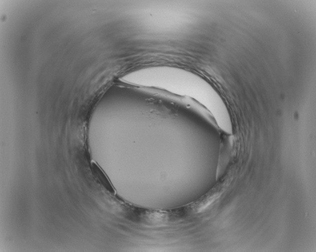 X0000088210325200706121812