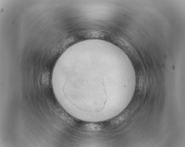 X0000088210326200706121812