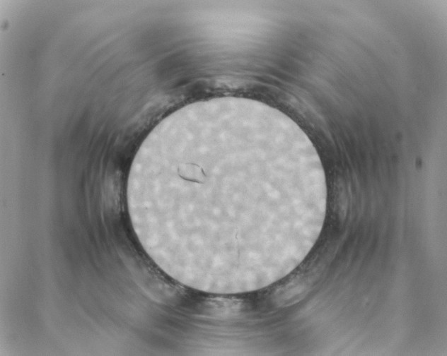 X0000088210328200706121811