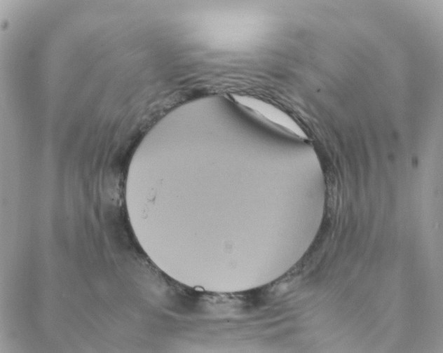 X0000088210331200706121811