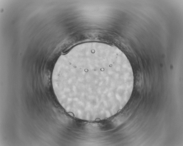 X0000088210332200706121811