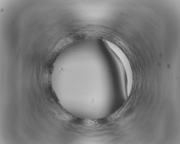 X0000088210333200706121811