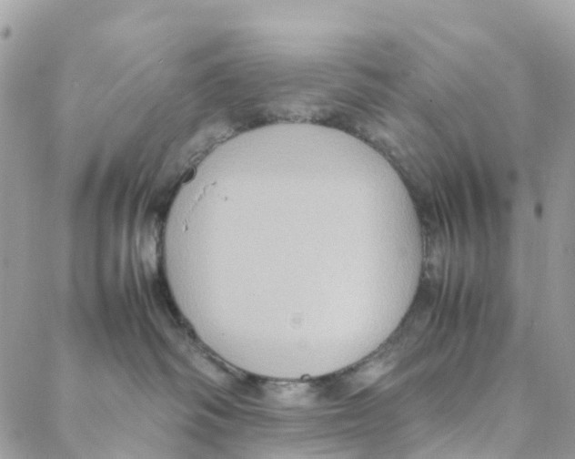 X0000088210334200706121811