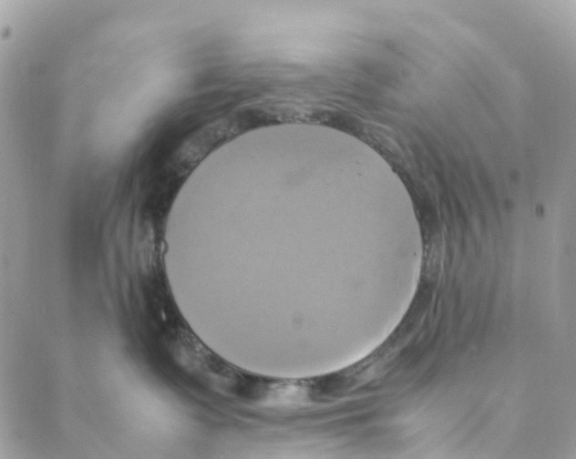 X0000088210335200706121811