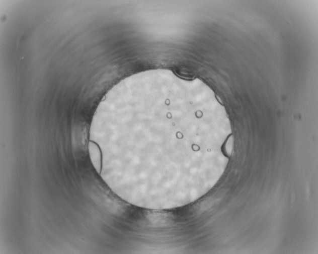 X0000088210336200706121811