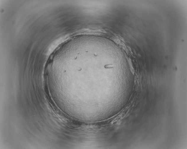 X0000088210340200706121811