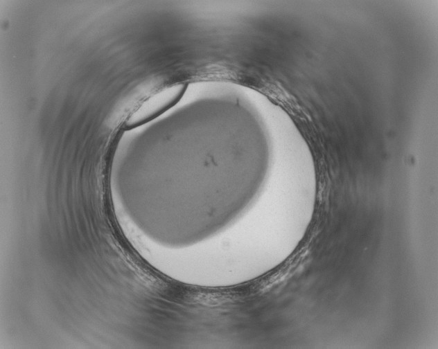 X0000088210341200706121811