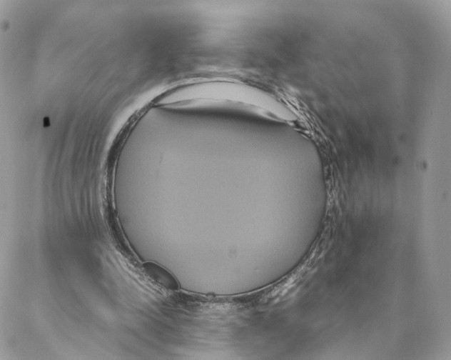 X0000088210342200706121811