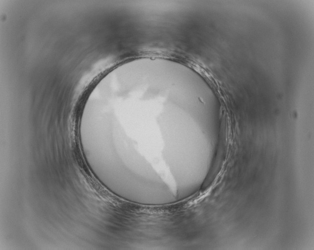 X0000088210343200706121811