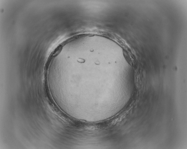 X0000088210344200706121811