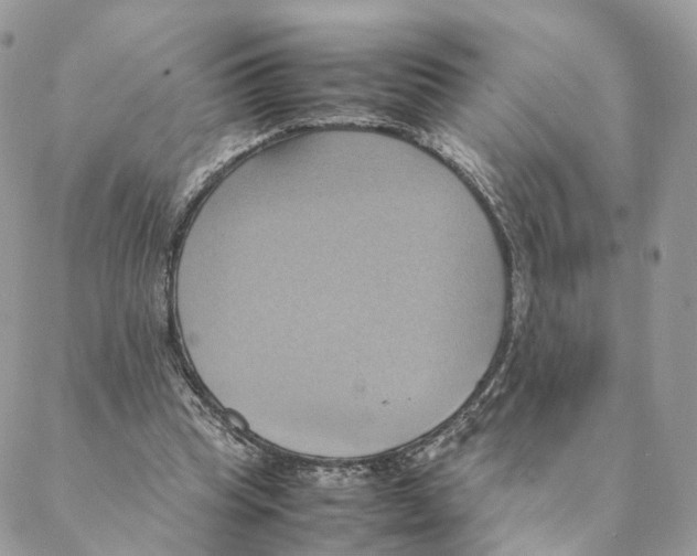 X0000088210345200706121811