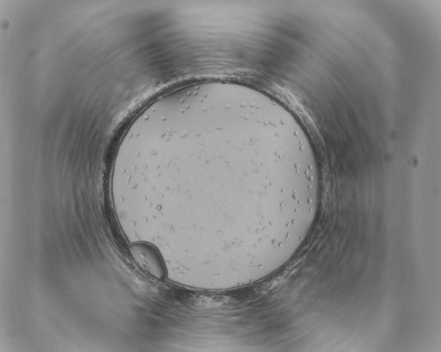 X0000088210346200706121811