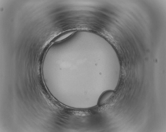 X0000088210347200706121811