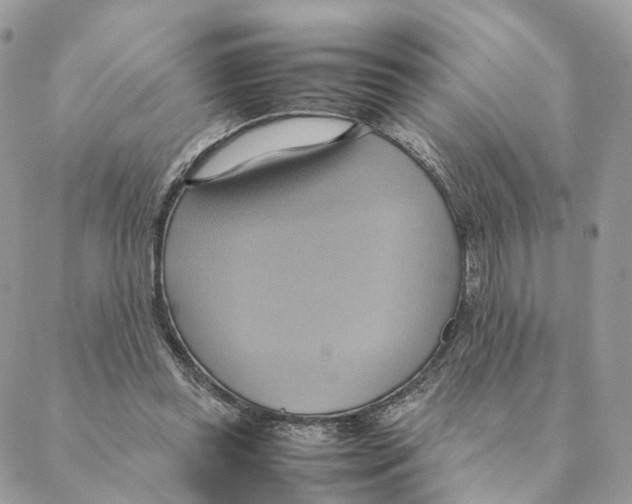 X0000088210349200706121811