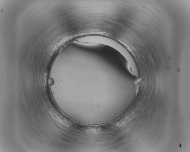 X0000088210350200706121811