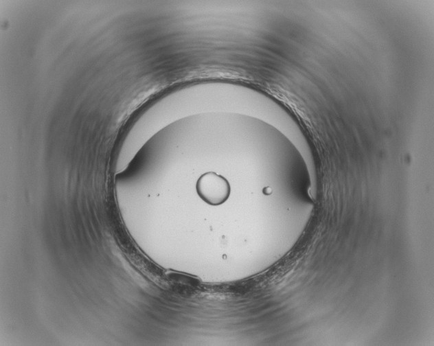 X0000088210352200706121811