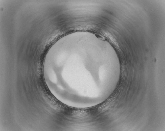 X0000088210354200706121811