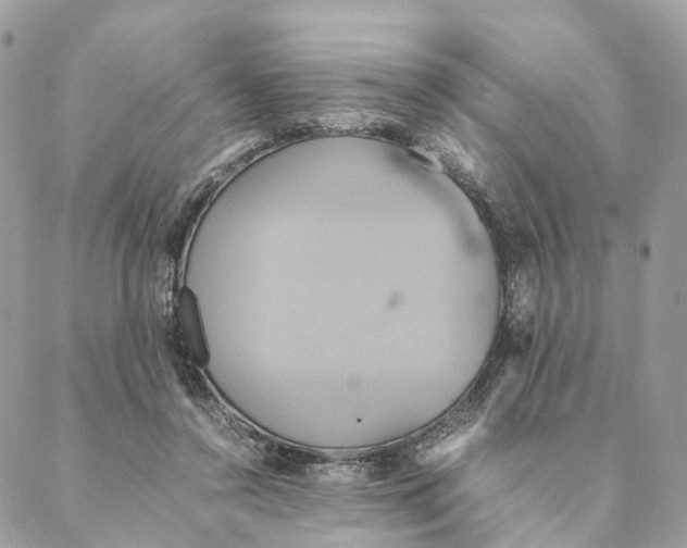 X0000088210356200706121811