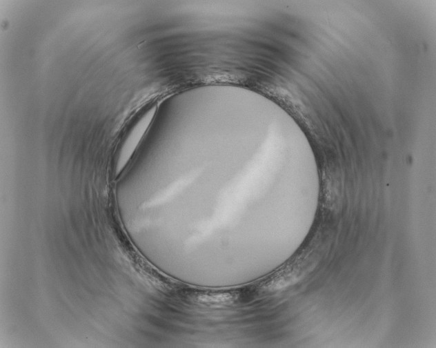 X0000088210357200706121811