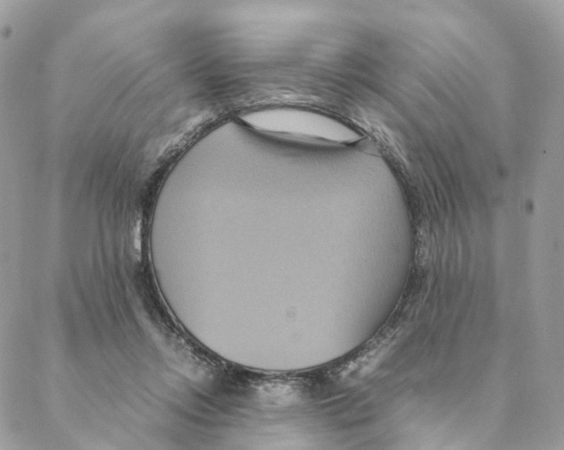 X0000088210358200706121811