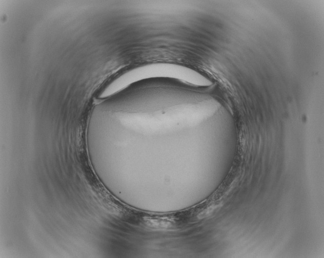 X0000088210359200706121811