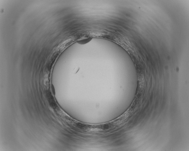 X0000088210360200706121811