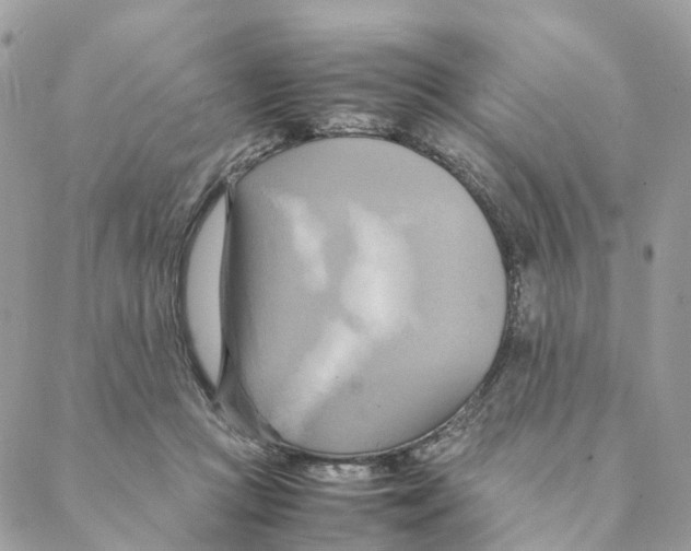 X0000088210361200706121811