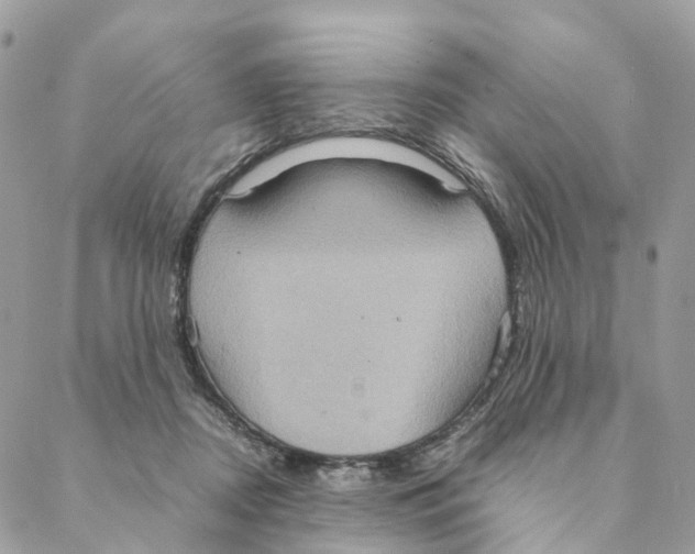 X0000088210362200706121811