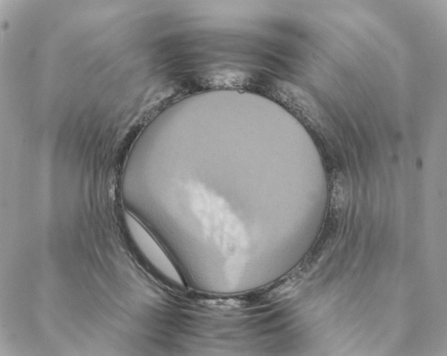 X0000088210363200706121811