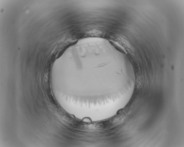 X0000088210365200706121811