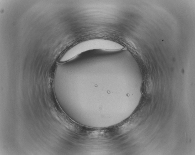 X0000088210366200706121811