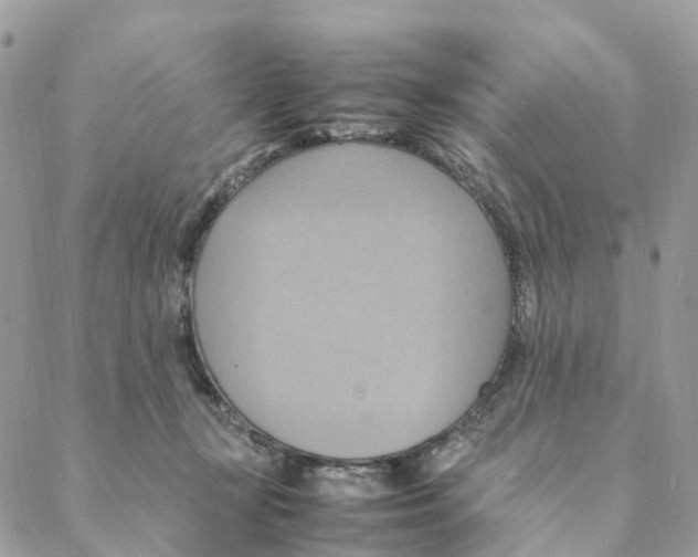 X0000088210367200706121811