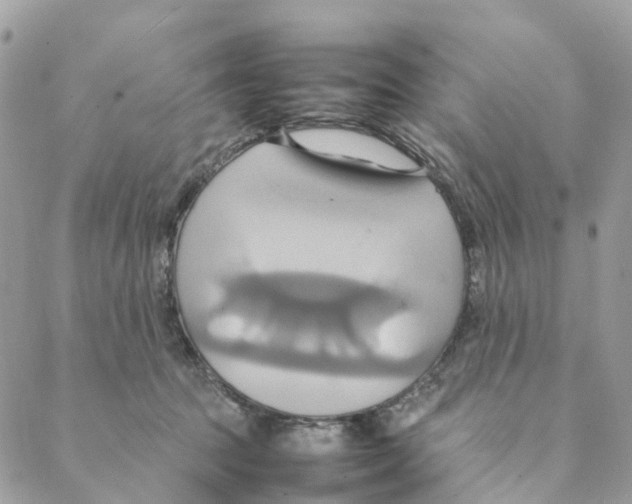 X0000088210369200706121811