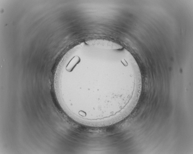 X0000088210370200706121811