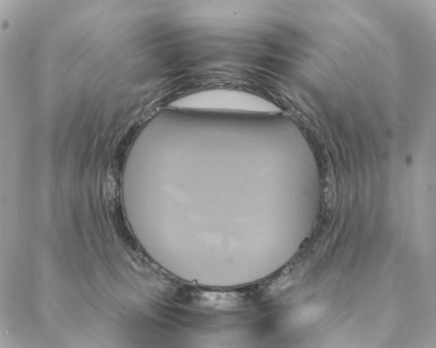 X0000088210371200706121811