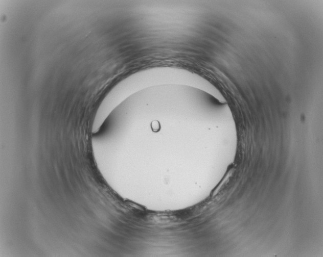 X0000088210372200706121811