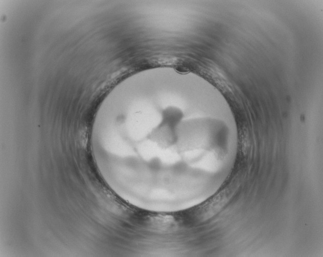 X0000088210374200706121811