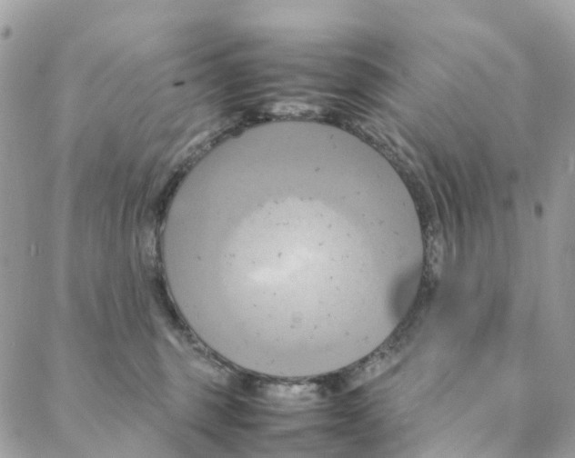 X0000088210375200706121811