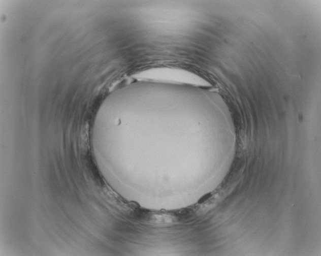 X0000088210376200706121811