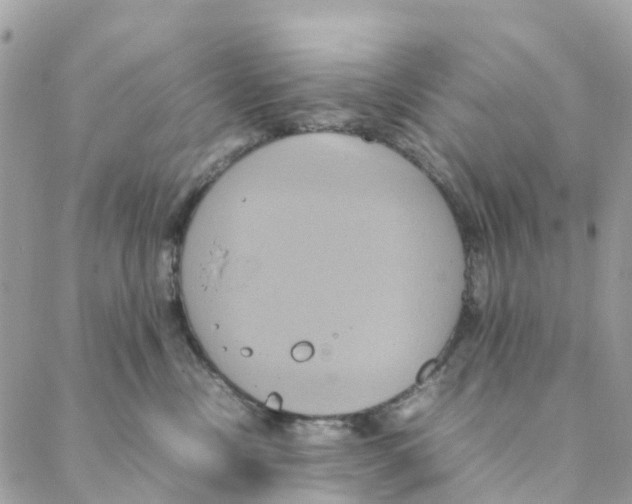 X0000088210378200706121811