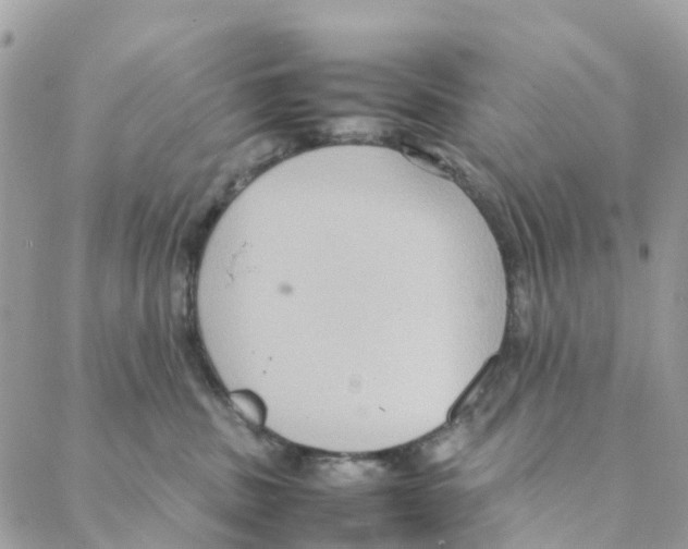 X0000088210379200706121811