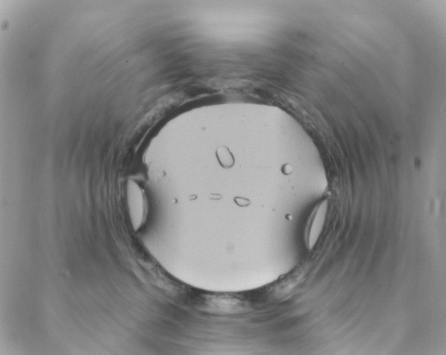 X0000088210380200706121811