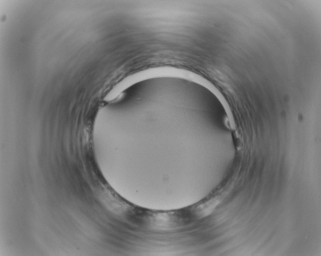 X0000088210382200706121811