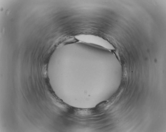 X0000088210383200706121811