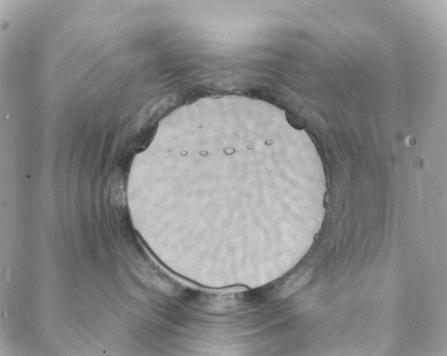 X0000088210384200706121811