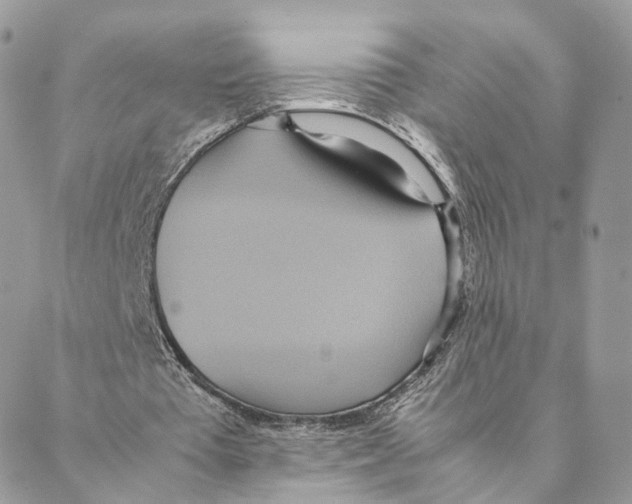 X0000088210385200706121811