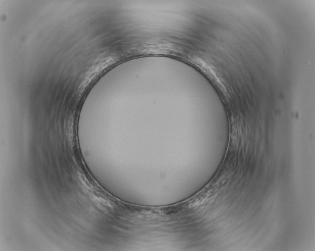 X0000088210386200706121811